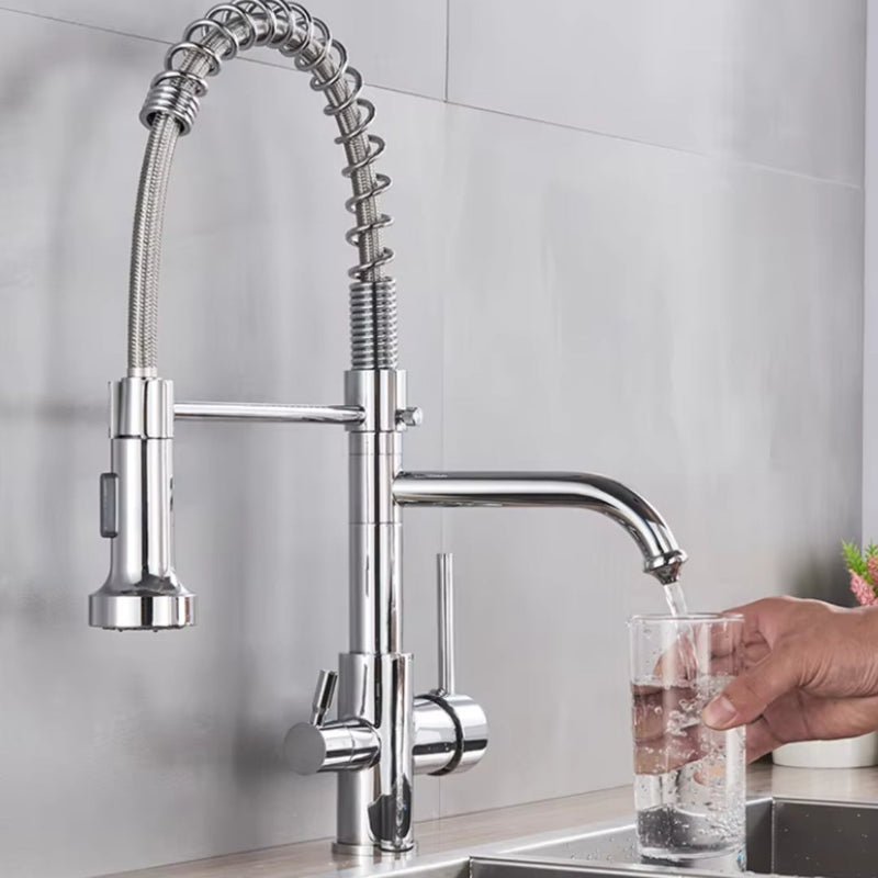 Torneira Para Cozinha Gourmet Monocomando Com Filtro Neptunus